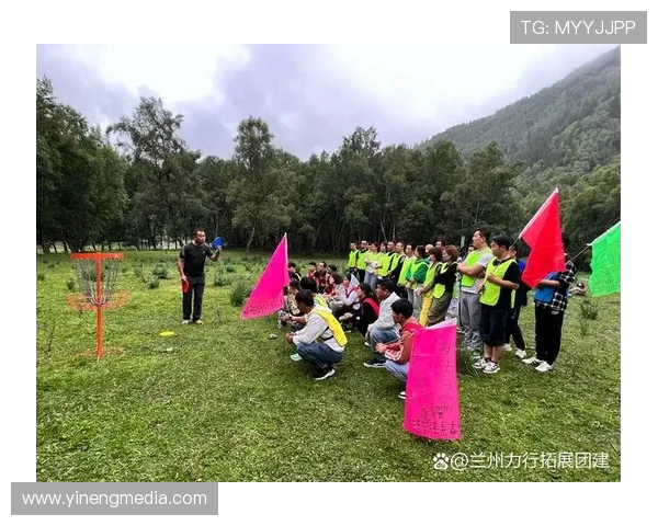 飞盘竞技的魅力：深入了解西安飞盘队的默契配合与战术策略