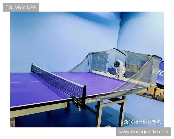 王娜独家分享乒乓球技巧与心得助你提升球技的秘诀与经验